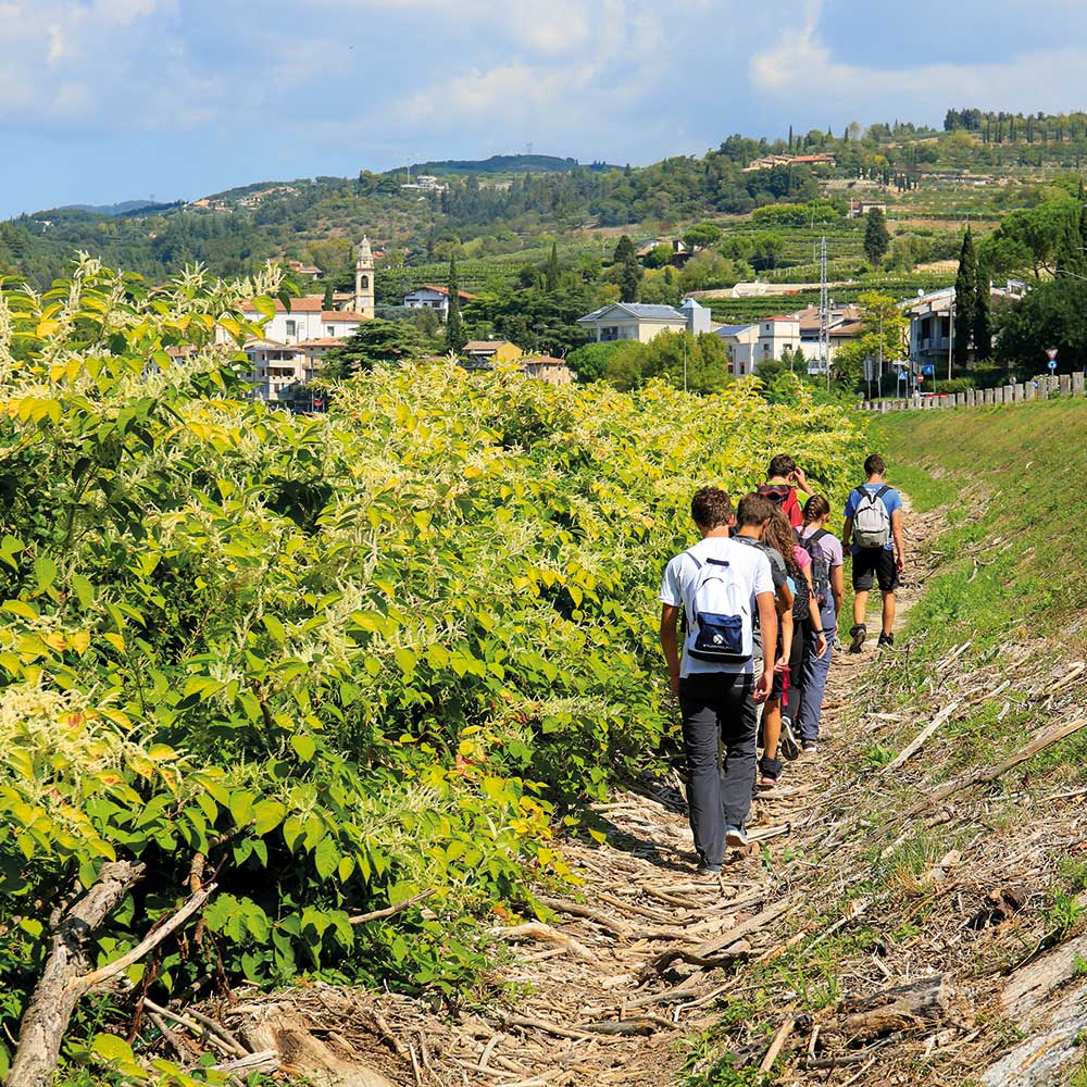 Pellegrinaggio lungo il fiume Adige - Prima tappa Sentiero di Maria