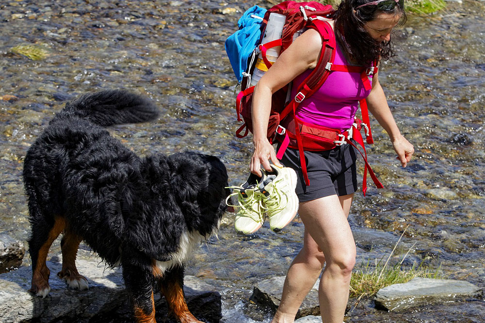 In pellegrinaggio con il cane sul Sentiero di Maria verso Madonna della Corona
