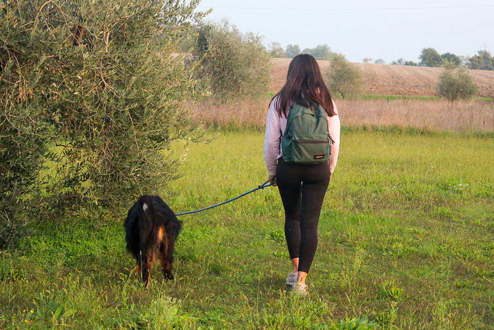 Segui i nostri consigli per portare il tuo cane in pellegrinaggio. Sentiero di Maria