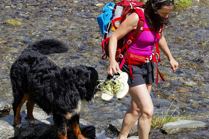In pellegrinaggio con il cane sul Sentiero di Maria verso Madonna della Corona