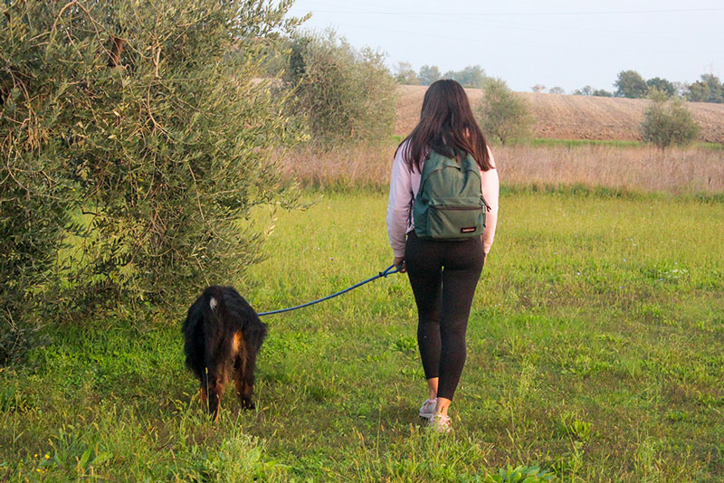 Segui i nostri consigli per portare il tuo cane in pellegrinaggio. Sentiero di Maria
